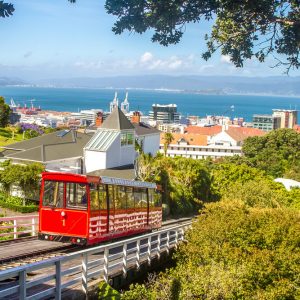 Wellington: conheça a segunda cidade mais popular da Nova Zelândia!