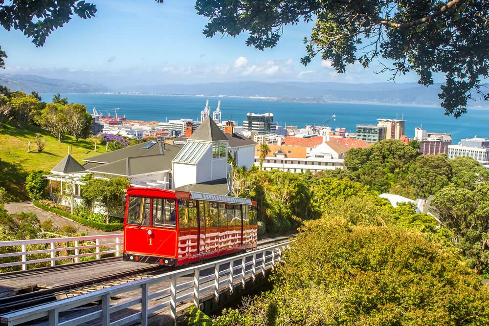 Wellington: conheça a segunda cidade mais popular da Nova Zelândia!